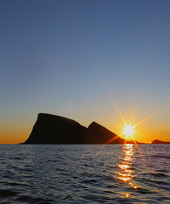 Midnight sun fjord cruise Tromsø Explore The Arctic